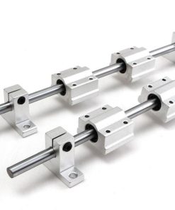 RAY TRÒN KHÔNG ĐẾ & CON TRƯỢT