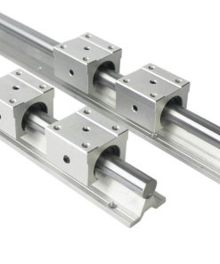 RAY TRÒN CÓ ĐẾ & CON TRƯỢT