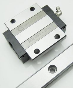 RAY TRƯỢT VUỘNG TBI & CON TRƯỢT